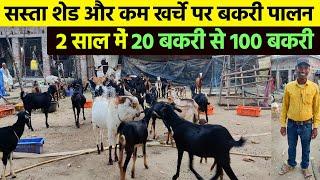इनकी तरह 20 बकरी से 100 बकरी होते देर नहीं लगेगीसस्ता शेड और कम खर्चे के दम पर करो Bakri Palan