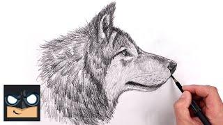 How To Draw a Wolf for Beginners  Sketch Art Lesson Step by Step