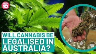 Will Cannabis Be Legalised In Australia?  Studio 10