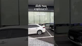 เมื่อขับ TESLA มาดูน้องแมวน้ำ BYD Seal #Tesla #เทสล่า #BYDSeal