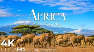 AFRICA 4K • Breathtaking Wildlife Tribal Music - Relaxation Film - Nature 4k Video UltraHD