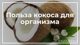 Польза кокоса для организма  toNature.Info