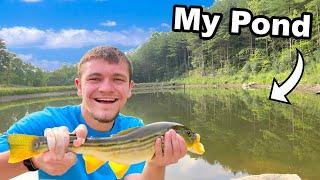 Catching the First Fish out of My Pond