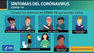 Sintomas del coronavirus