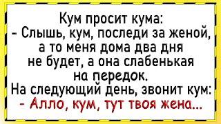 Как кум и кума остались вдвоём Сборник свежих анекдотов Юмор