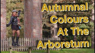 Autumnal Colours At The Arboretum