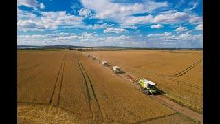 Harvest 2022   6x harversters in one field 5x Claas + 1x John Deere Statek Miroslav