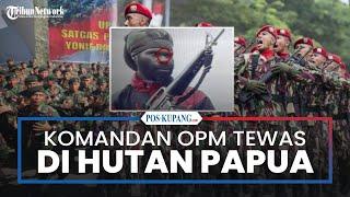 Komandan Pasukan Pintu Angin OPM Lesmin Waker Tewas di Hutan Papua Ditembak Kopassus-Raider-Cakra