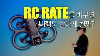 아바타2 필수영상 세상 쉬운 FPV RC 레이트 세팅하는 법 스틱캠 그리고 몇 가지 TMI