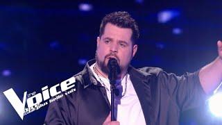 Daniel Balavoine - SOS dun terrien en détresse - Aurélien  The Voice 2023  Cross Battles