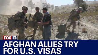 Afghan allies try for U.S. visas  FOX 13 Seattle