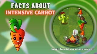 facts about intensive carrot from pvz 2 - plants vs zombies 2