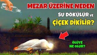 Peygamberimiz Buyurdu Mezar Üzerine Su Dökünce ve Çiçek Dikince Ölüye Ne Olur? Sübhanallah