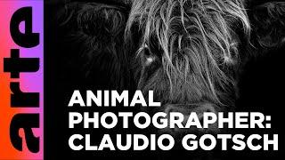 Animal Art - Photogenic Creatures  ARTE.tv Culture