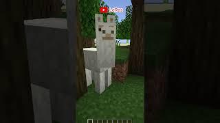 Minecraftta Lamaların HİÇ Bilinmeyen Hikayesi #shorts #minecraft #short #shortsvideo #tiktok