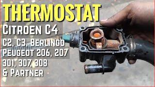 Citroen C4 thermostat replacement. C2C3 Berlingo Peugeot 206 207 301 307 308 & Partner.