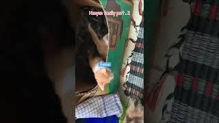 Anak Manyun part. 2 tumbuh sehat dan aktif  #shorts #short #shortvideo #kucing #cat #shortfeed