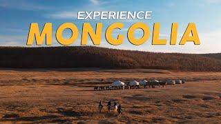 Experiencing the Beauty of Mongolia with 13 Strangers — Second Community Trip  The Travel Intern