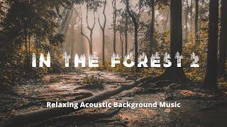  Study Sleep Relax  In The Forest 2 1H   Relaxing Acoustic Background Music Royalty Free