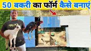 कम खर्चे में 50 बकरी का फॉर्म कैसे बनाएं  Low cost goat farm shed design