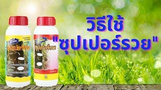 วิธีใช้ สารบำรุงหน้ายาง เพิ่มผลผลิต ซุปเปอร์รวย