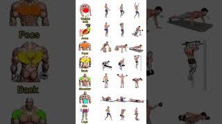 weight lose arms pecs back shoulder abs full body workout #ytshorts