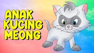 Anak Kucing Meong Meong - Lagu Anak Anak - Lagu Anak Indonesia Populer  AURA MUSLIM