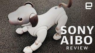 Sony Aibo Review New dog new tricks