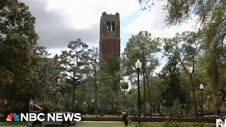 University of Florida cuts all DEI roles across campus