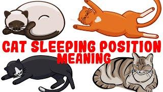 What Your Cats Sleeping Position Reveals About Their Health and Personality