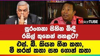 සුරංගනා සිහින බිඳී රනිල් තුනෙන් පහළට? හීන කතා මී හරක් කතා සහ ගොන් කතා