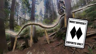 Riding The Craziest North Shore A Bucket List MTB Experience