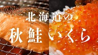 北海道の秋鮭「焼き鮭」「いくら」編