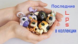 LPS  ПОСЛЕДНИЕ КОШКИ из новой коллекции  littlest pet shops