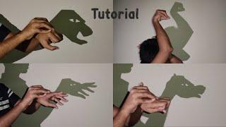 Hand Shadow Puppets Tutorial 2  Handicraft