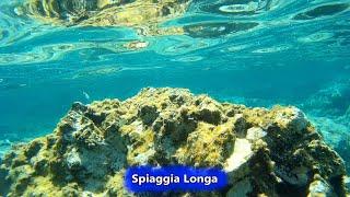 Waters of Spiaggia Longa and Li Bicchi Russi in Isola Rossa  15 August 2021  Sardinia