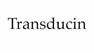 How to Pronounce Transducin