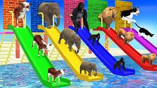 Don’t Break The Wrong Wall with LONG SLIDE Elephant Cow Lion Gorilla Cat Wild Animals Cage Game