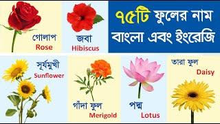 75টি ফুলের নাম বাংলা এবং ইংরেজীতে  75 Flowers name with pictures Bengali and English for kids