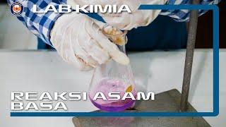 Percobaan Reaksi Asam Basa  Lab Kimia  UPT Laboratorium UHO