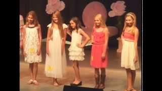 Petite Miss & Junior Miss Pageants - 2014 Williamson County Fair
