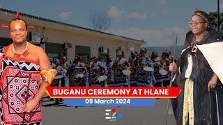 Hlane Royal Residence Buganu Marula Ceremony   09-03-2024