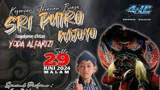 Rampokan Barongan Jaranan SRI PUTRO WIJOYO Live Pulosari Ngunut TA  AJP AUDIO