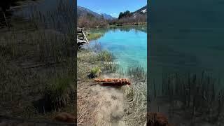 Slovenia Zelenci Lake