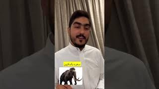 الماموث سعره بالملايين