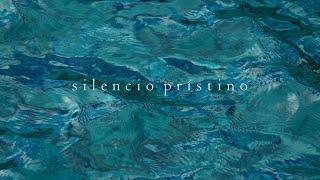 SILENCIO PRÍSTINO  Terapia de Movimientos Esenciales  Video poema