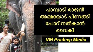 Pampadi Rajan അമ്മയോട് പിണങ്ങി ചോറ് നൽകാൻ വൈകി #elephantstory#vmpradeepmedia#nattanakatha#kombanmar