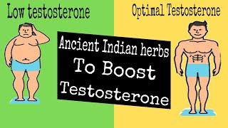 3 Best Herbs To Rocket Your Testosterone  Dr. Vivek joshi