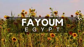 Fayoum City & Oasis - City of Waterfalls Southwest of Cairo - Alchemist