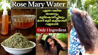 Rosemary water for faster hair growthHow to use Rosemary leaves for hairgrowthHair Regrowth pack